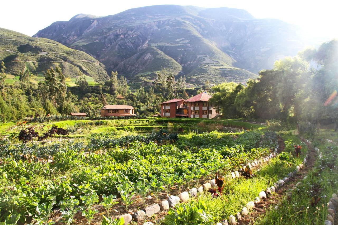 Fleur Lodge Carhuaz Exterior foto